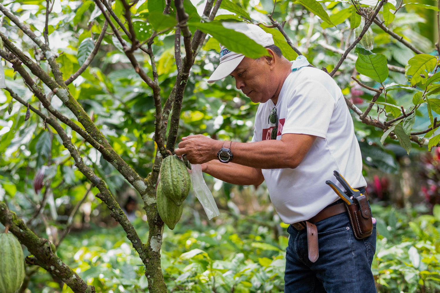 H&G Chocolate cocoa exchange